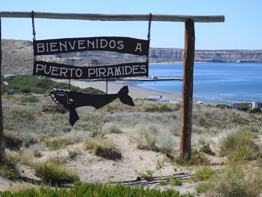 Shore Tours Peninsula Valdes Puerto Madryn Cruise Passengers - Meeting at the Puerto Madryn Cruise Pier