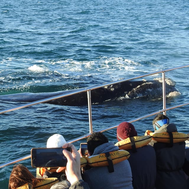 Shore Tours Peninsula Valdes Puerto Madryn Cruise Passengers - Puerto Pirámides: The Final Scenic Stop