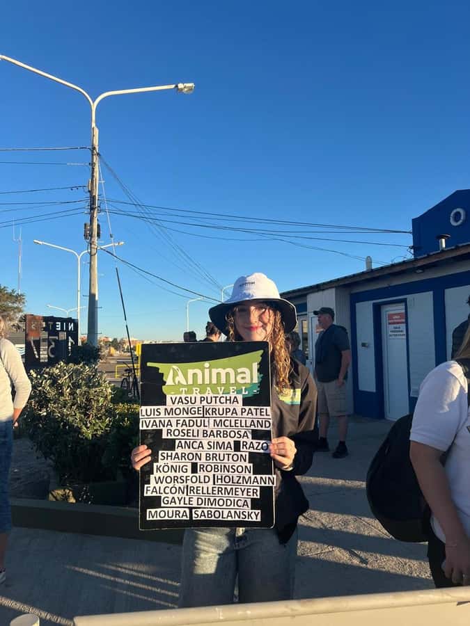 Shore Tours Peninsula Valdes Puerto Madryn Cruise Passengers - The Return to Puerto Madryn
