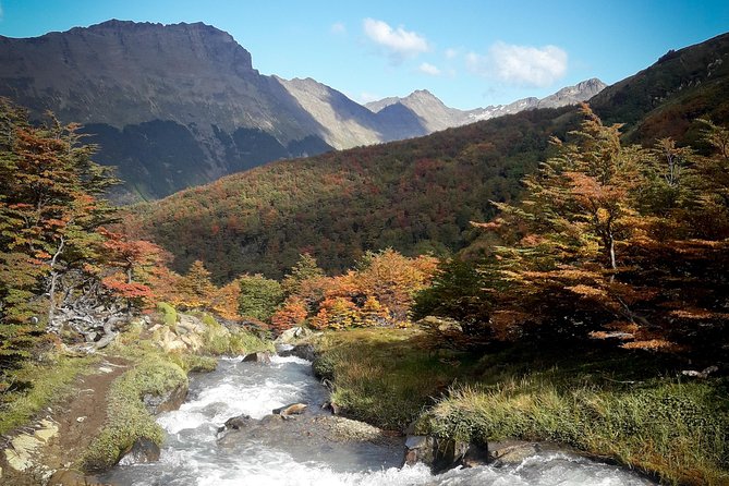 Small group Trekking to Vinciguerra Glacier and Témpanos Lagoon - Leaving Ushuaia for the Andorra Valley