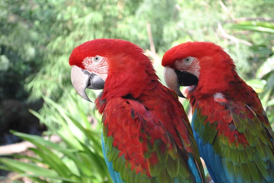 Temaiken Biopark Entry Tickets - The aquarium is more than a rainy-day stop