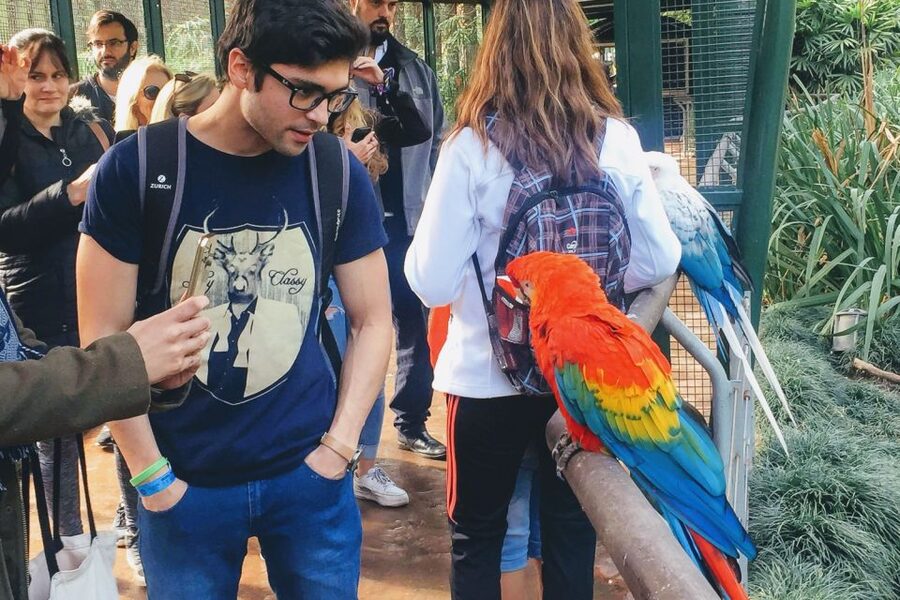 Temaiken Biopark Entry Tickets - Is the $33 admission good value?