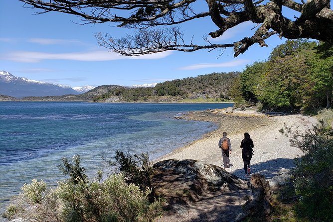 Tierra del Fuego National Park Private Tour - Why a private park tour works well in Ushuaia