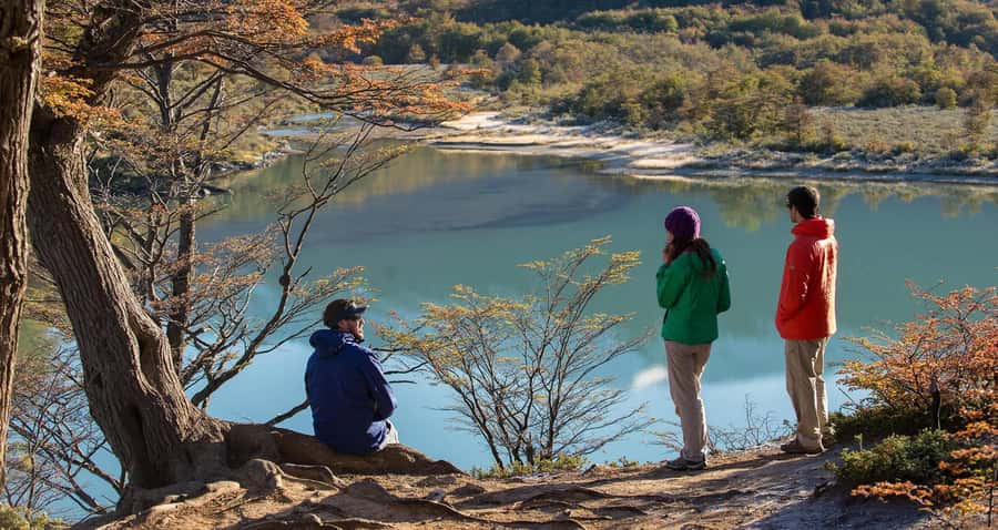 Tierra del Fuego National Park: Small Group Tour with Lunch - Why this half-day park trip works well