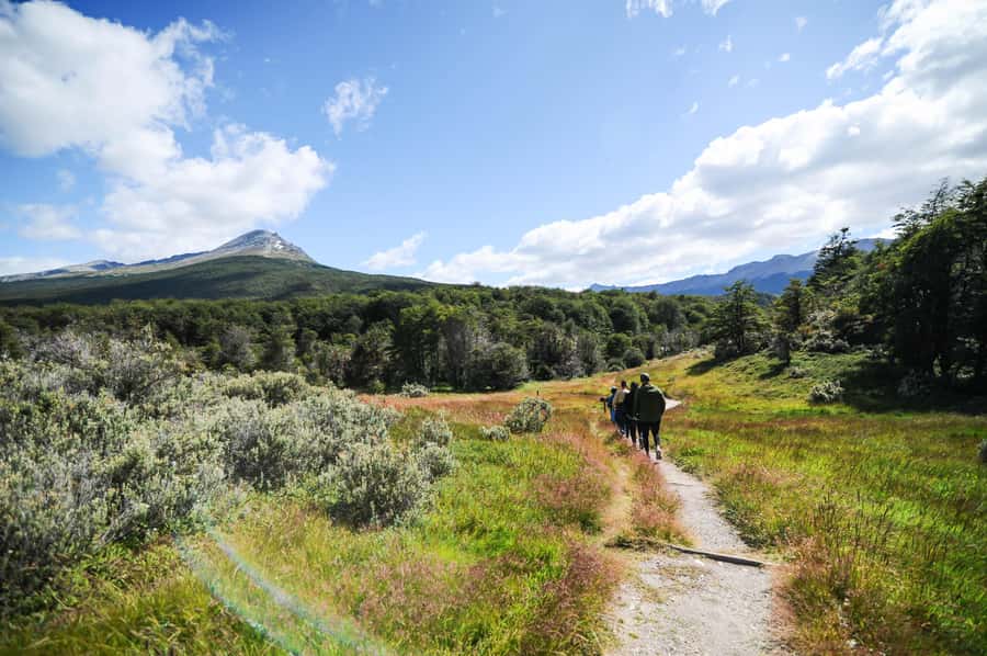Tierra del Fuego National Park: Small Group Tour with Lunch - Ensenada Bay and the Beagle Channel