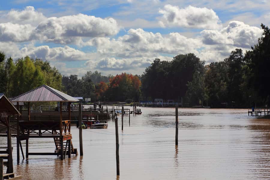 Tigre: River Delta Panoramic Boat Tour - What the Tigre Delta tour is really about