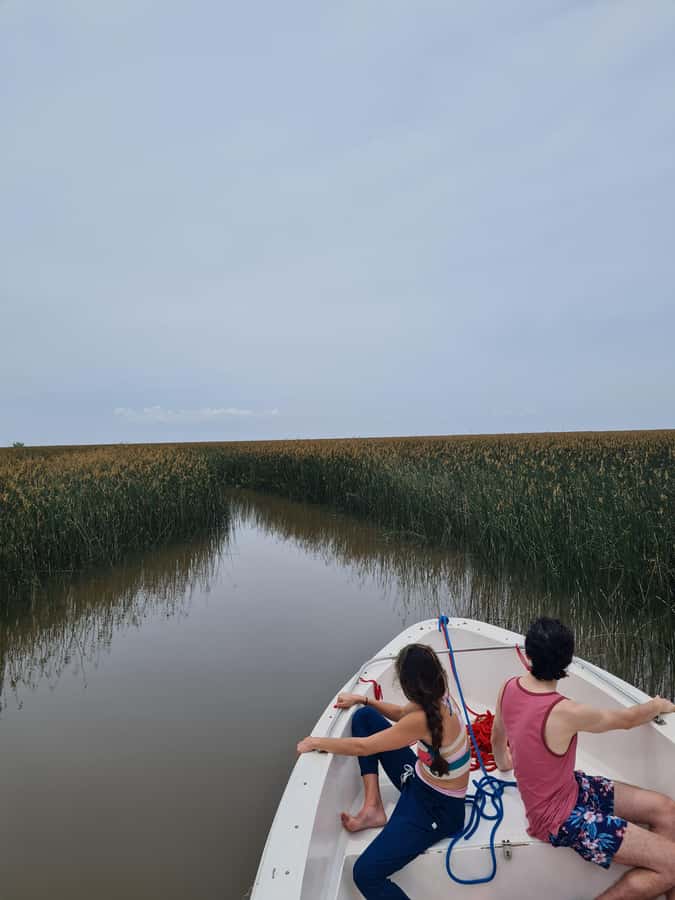 Tigre: Safari Náutico en Tigre/ Biosphere Reserve Boat Tour - Why Tigre’s Delta is worth seeing by boat
