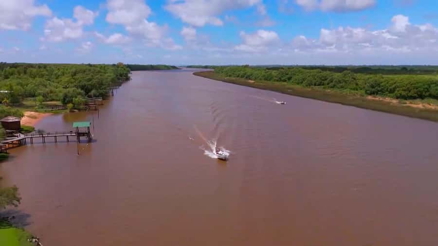 Tigre: Safari Náutico en Tigre/ Biosphere Reserve Boat Tour - Tres Bocas and the quieter waterways