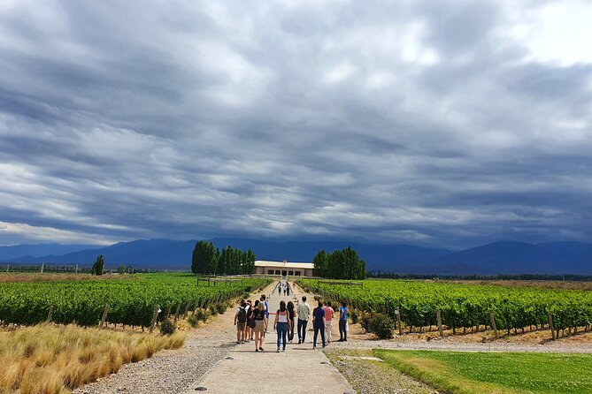 Top Rated: Winery Tour with Lunch in Mendoza - The first winery explains the route from soil to bottle