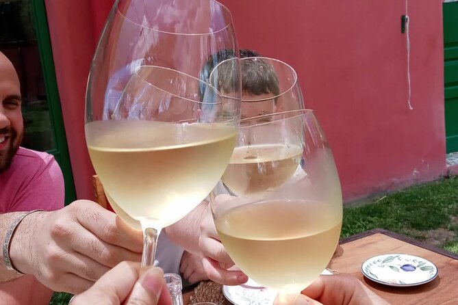 Top Rated: Winery Tour with Lunch in Mendoza - Lunch among the vineyards is the day’s anchor