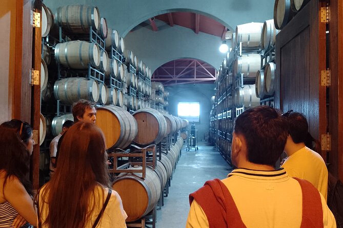 Top Rated: Winery Tour with Lunch in Mendoza - Should you book this Maipú wine tour?
