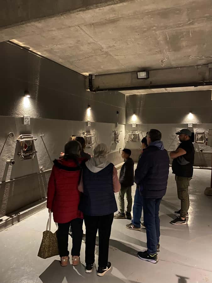 Tour of 3 wineries in Maipú with lunch + olive groves - Three winery stops, one full day in Maipú