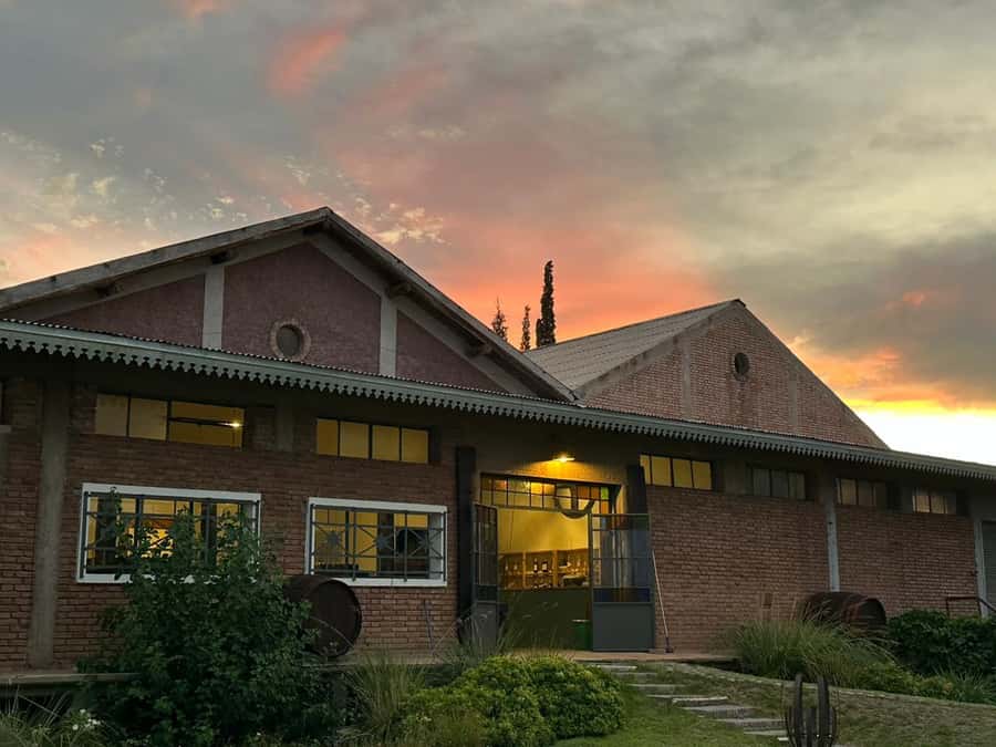 Tour of 3 wineries in Maipú with lunch + olive groves - The third winery adds alfajores and lunch