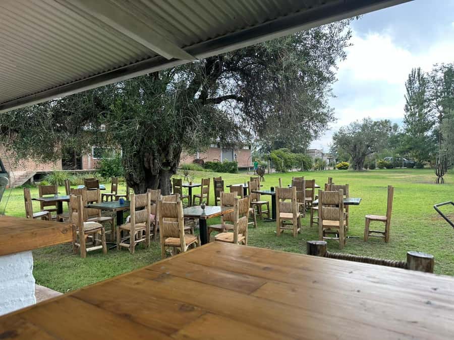 Tour of 3 wineries in Maipú with lunch + olive groves - The wine focus is traditional rather than flashy