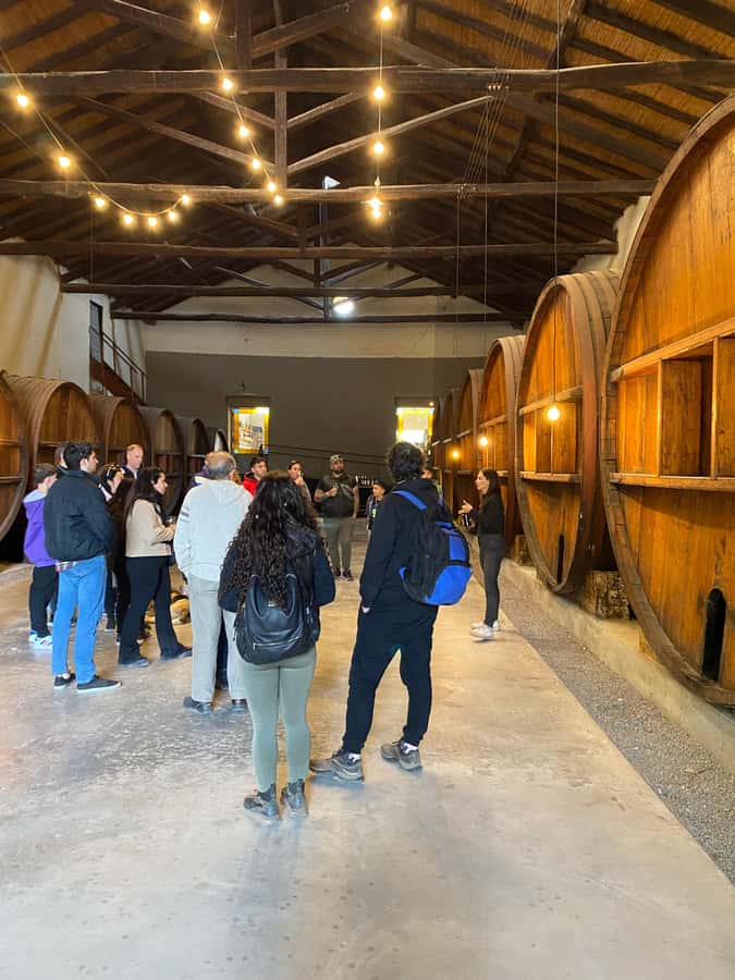 Tour of 3 wineries in Maipú with lunch + olive groves - Hotel pickup makes the day easy