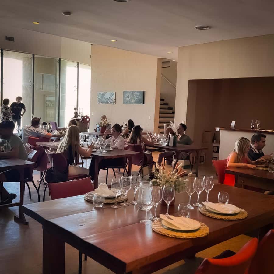 Tour of 3 wineries in Maipú with lunch + olive groves - Who will enjoy this Maipú tour most?