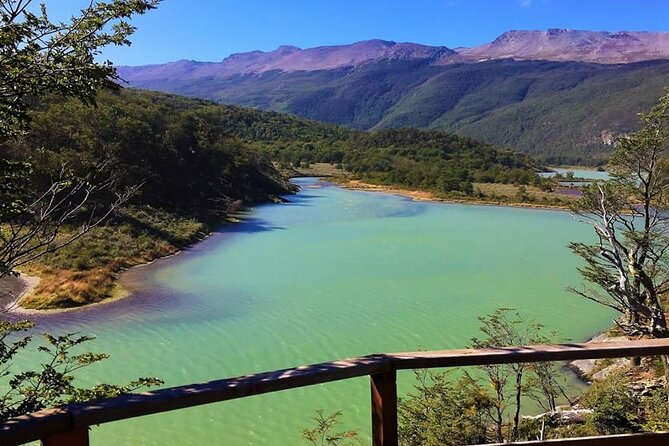Tour to Tierra del Fuego National Park from Ushuaia - What this half-day visit actually covers