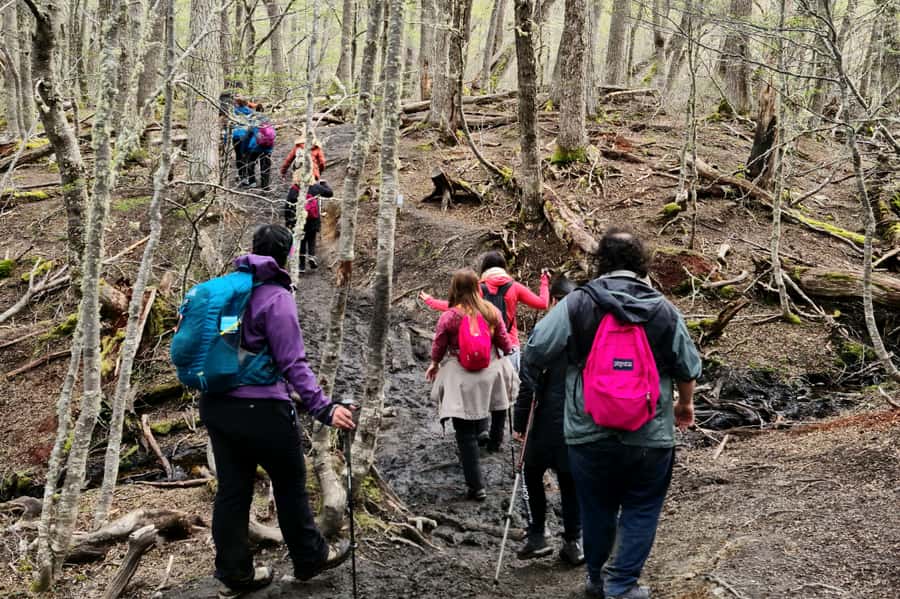 Trekking to Emerald Lagoon - Forest, plants, and the Esmeralda River