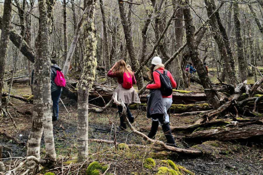Trekking to Emerald Lagoon - Reaching Laguna Esmeralda