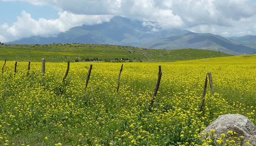 Tucumán: Tafí del Valle Full Day Tour - Cheese, peppers, and local handicrafts