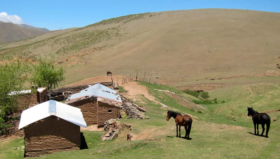 Tucumán: Tafí del Valle Full Day Tour - From Lules Culture ruins to Menhires Park