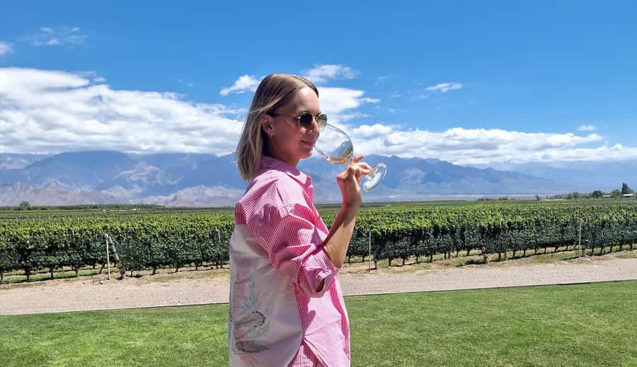 Uco Valley, Mendoza: One-Day Private Wine Tour Experience - Why the Uco Valley Makes a Full Day Worthwhile