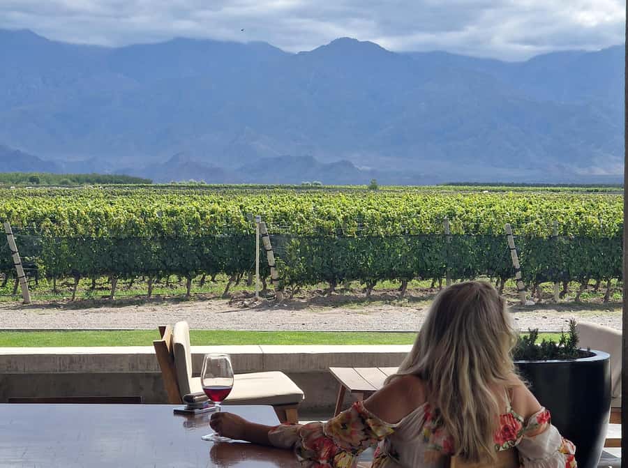 Uco Valley, Mendoza: One-Day Private Wine Tour Experience - What the Private Format Really Gives You