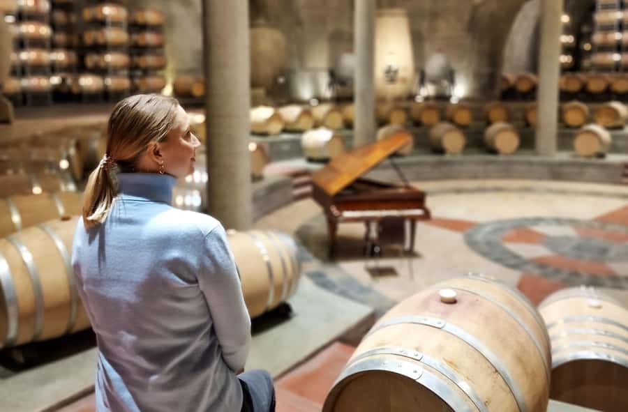 Uco Valley, Mendoza: One-Day Private Wine Tour Experience - The Real Cost: $375 Plus Wine and Lunch