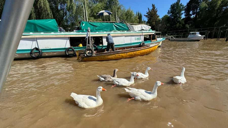 Unique Tigre and Delta Private Day Cruise Navegation - The Paraná Delta by private motor boat