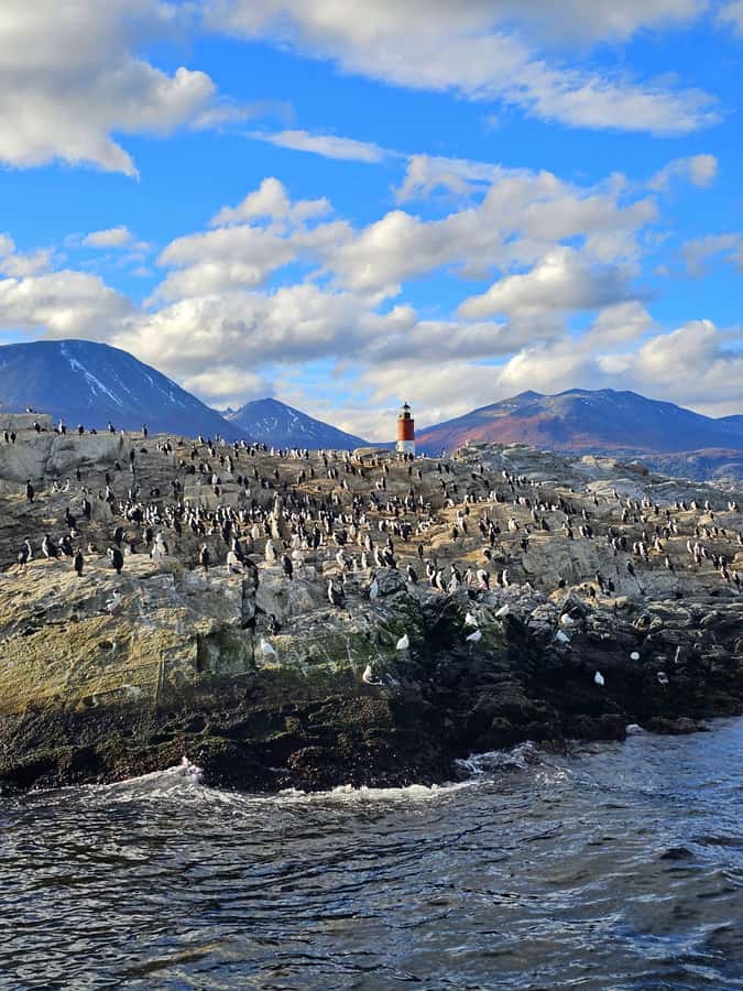 Ushuaia: Beagle Channel and Penguin Island - Sailing out through Ushuaia Bay