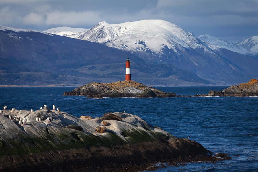 Ushuaia: Beagle Channel Boat Tour and Penguin Experience - The short boat ride to Martillo Island