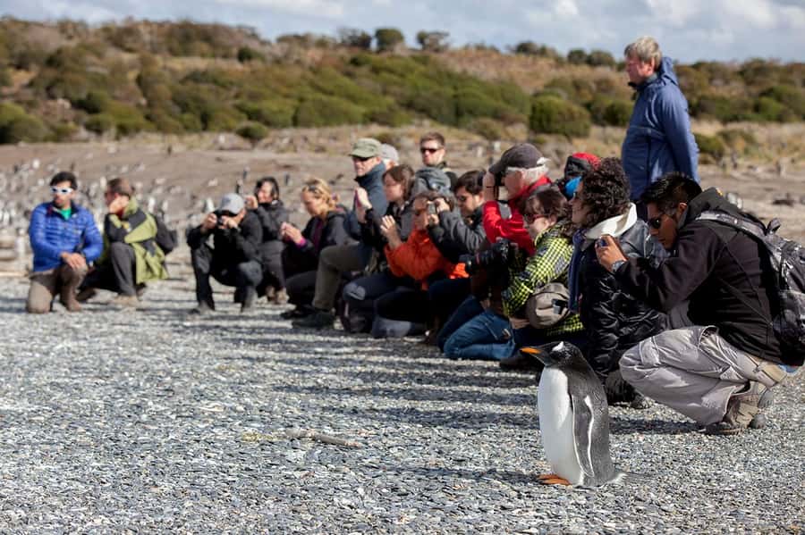 Ushuaia: Beagle Channel Boat Tour and Penguin Experience - When the order changes your day