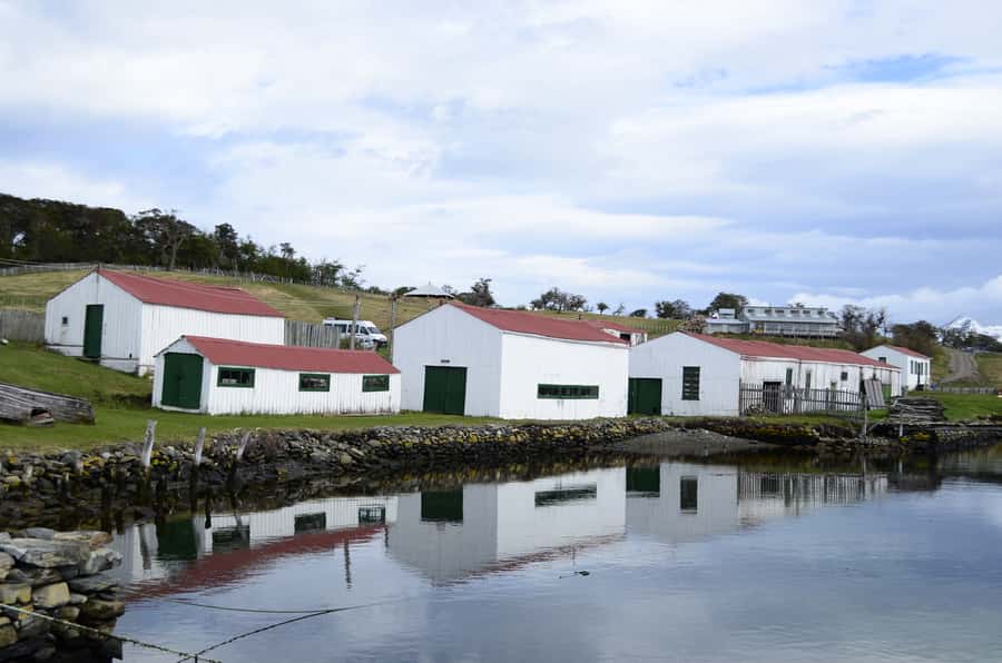 Ushuaia: Beagle Channel Boat Tour and Penguin Experience - What to wear and carry