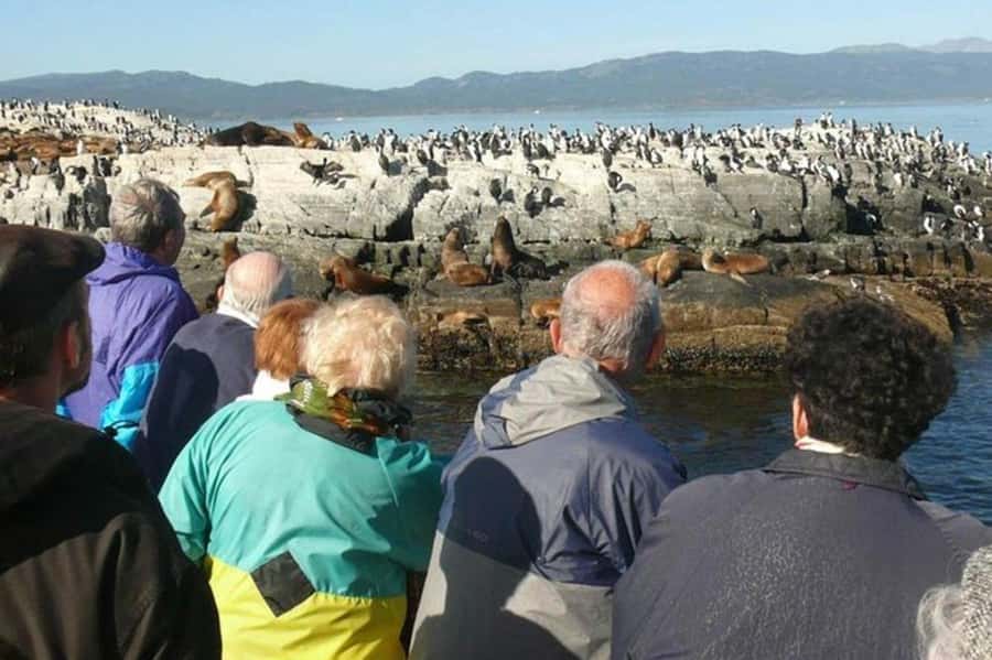 Ushuaia: Beagle Channel Penguin Colony Tour - Sailing east from Ushuaia into the Beagle Channel