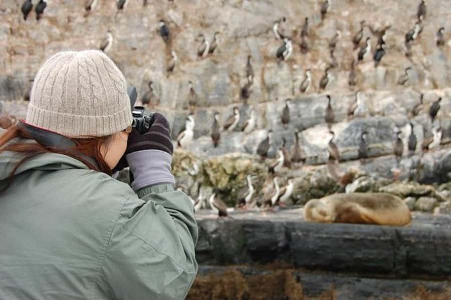 Ushuaia: Beagle Channel Penguin Colony Tour - How the $150 price makes sense