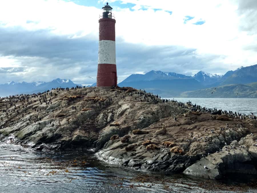 Ushuaia: Beagle Channel & Sea Wolves Island Catamaran Cruise - Who should book this Beagle Channel cruise?