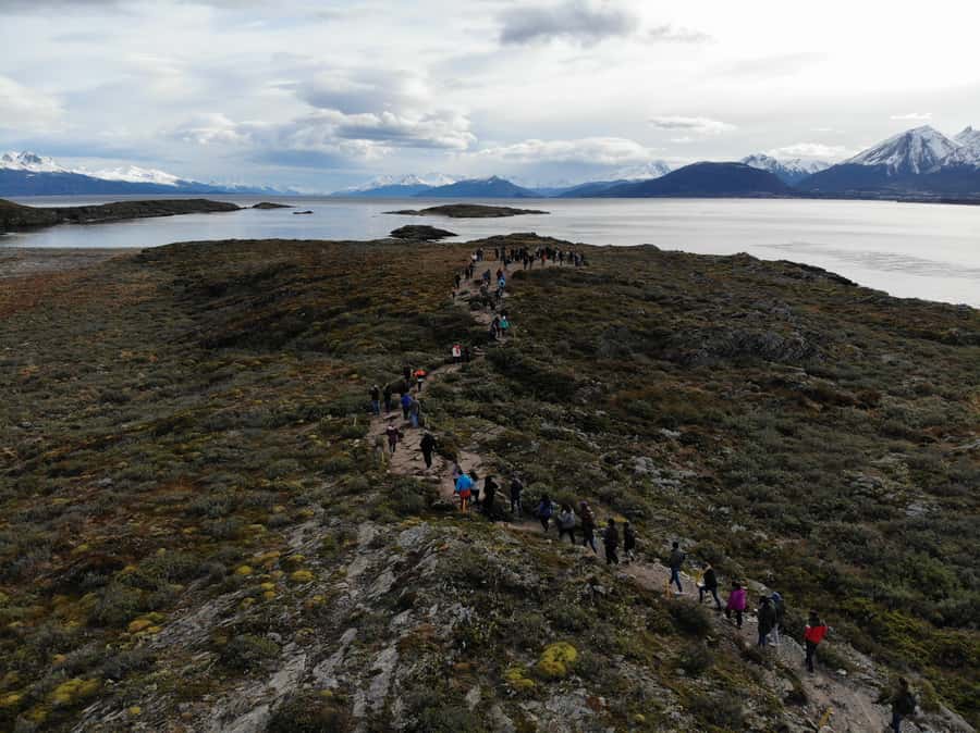 Ushuaia: Beagle Channel, Seal Island & Bridges Islands Tour - Key points to know before sailing