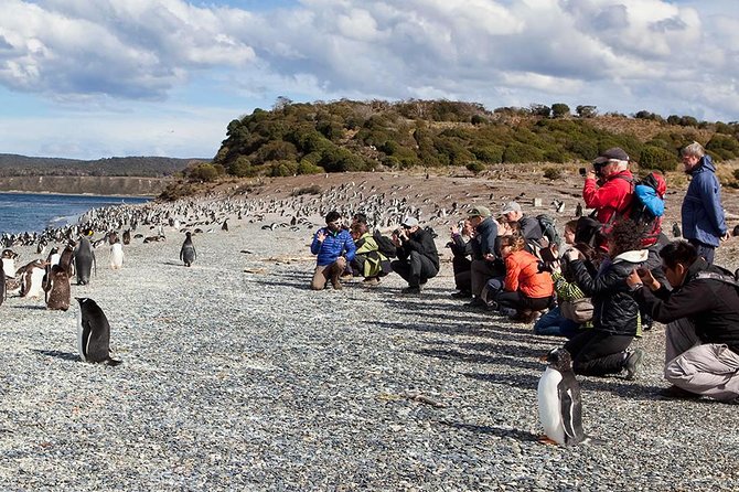 Ushuaia: Martillo Island and Walk Among Penguins Full-Day Tour - What the boat crossing is really like