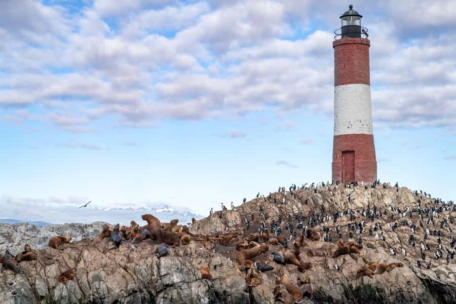 USHUAIA | Navigation: Sea Lions, Birds and Lighthouse - Should you book the Beagle Channel navigation?