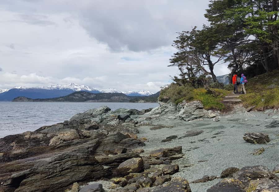 Ushuaia: Private Tour Tierra del Fuego National Park - Zaratiegui Bay and the forest by the Beagle Channel