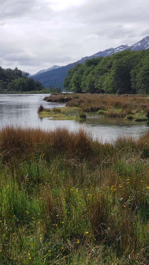 Ushuaia: Private Tour Tierra del Fuego National Park - Who should book this tour