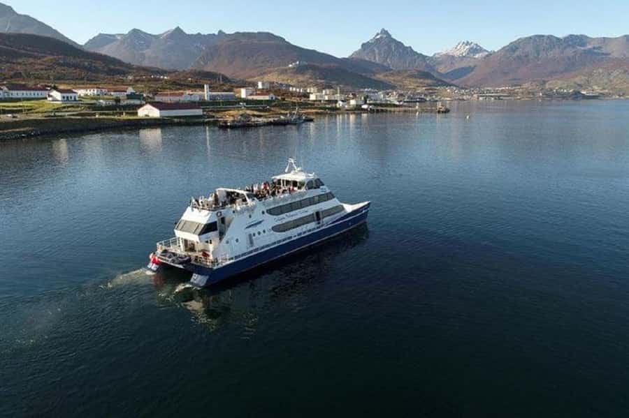 Ushuaia: Sailing Beagle Channel to the Penguin Colony - Martillo Island and the Magellanic penguins