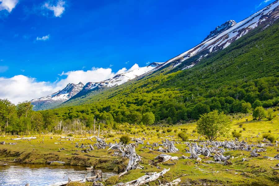 Ushuaia: Shared Experience "Tierra del Fuego" National Park - From Ushuaia to the forest at the end of the road