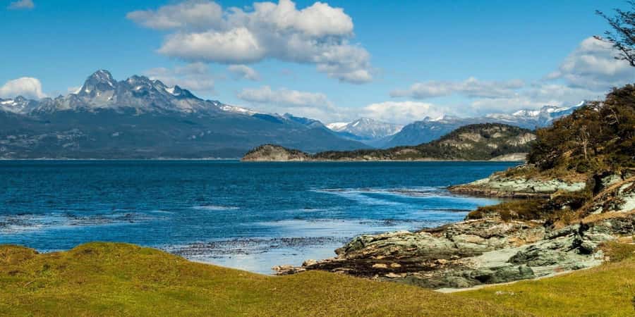 Ushuaia: Shared Experience "Tierra del Fuego" National Park - Ensenada Zaratiegui and the native trees