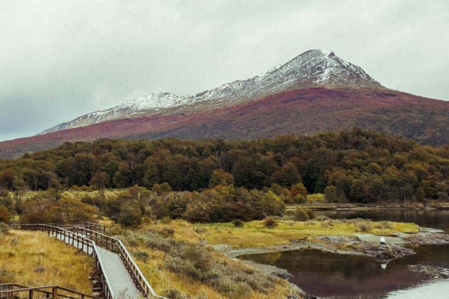 Ushuaia: Shared Experience "Tierra del Fuego" National Park - How the $75 price holds up