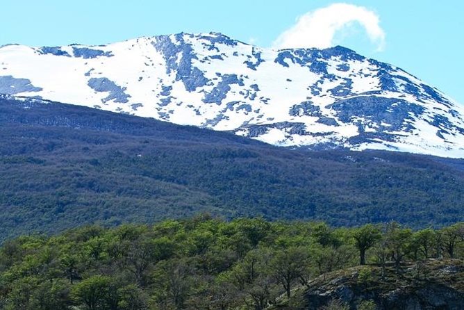 Ushuaia Shore Excursion: Private Tour of Tierra del Fuego National Park - Why this private park trip works well from Ushuaia