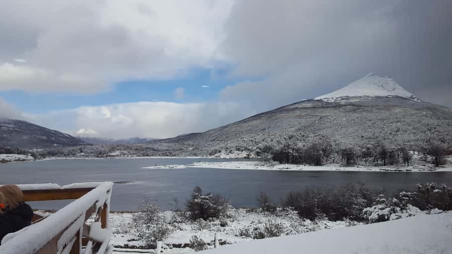 Ushuaia: Tierra del Fuego National Park - Who should book this park excursion?