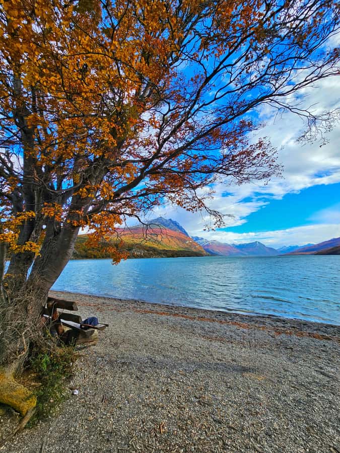 Ushuaia: Tierra del Fuego National Park Shore Excursion - Key things to know before booking