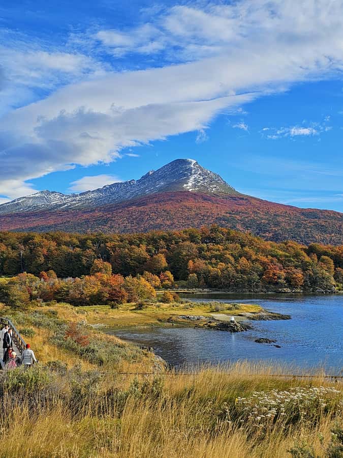 Ushuaia: Tierra del Fuego National Park Shore Excursion - What the four-hour park visit really includes
