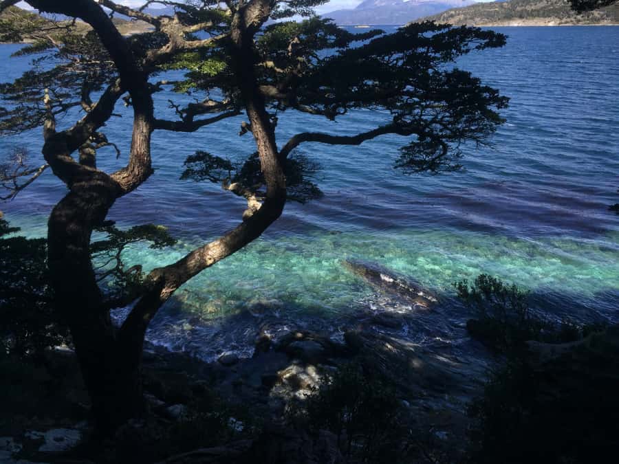 Ushuaia: Tierra del Fuego National Park Tour with Lunch - Is $108 a fair price?